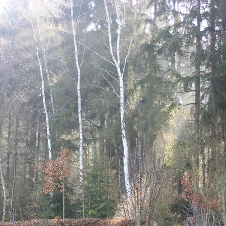 Vogtlandblick Eichigt